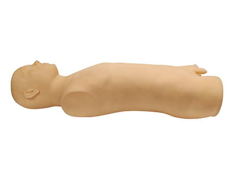 多功能中医技能训练半身模型